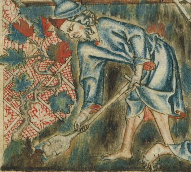 37-Noah in his vineyard-Holkham Bible