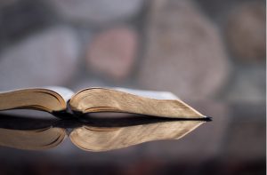 Inspiration, Intellect, and Rethinking Revelation