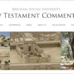 new testament commentary