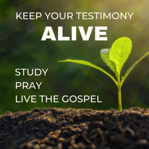 Big Questions - Keep my testimony (3)