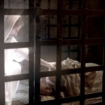 2023 40 CFM (150 × 150 px)