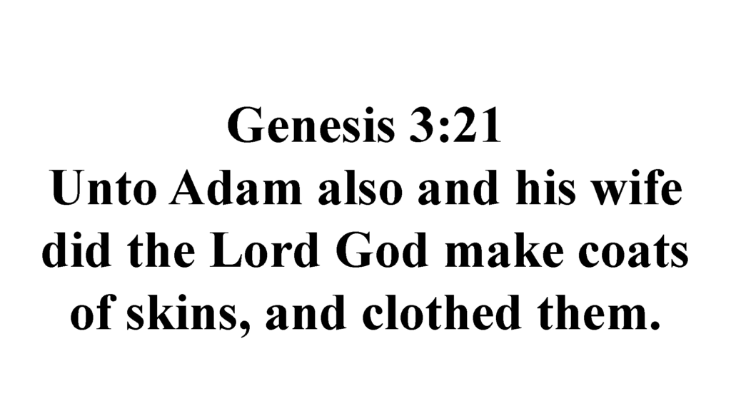 0809_Session_11_Clark-Why_the_Garment_Page_15