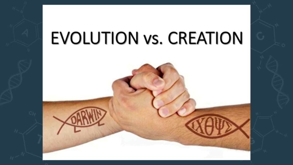 evolution vs creation