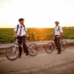 A Faithful, a Just, and a Wise Steward