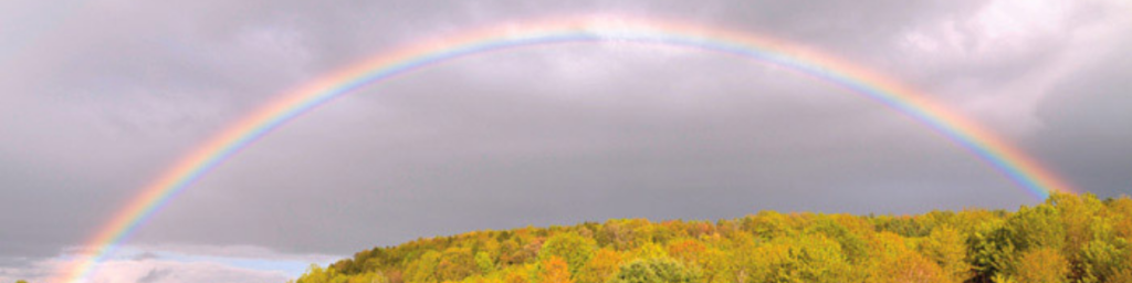 “NOAH FOUND GRACE IN THE EYES OF THE LORD”