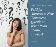 What is an Apostle?