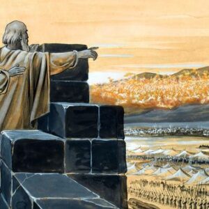 Elisha and his servant