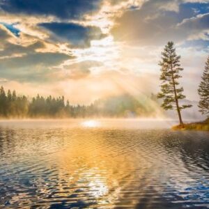 pine_tree_lake_clouds_morning